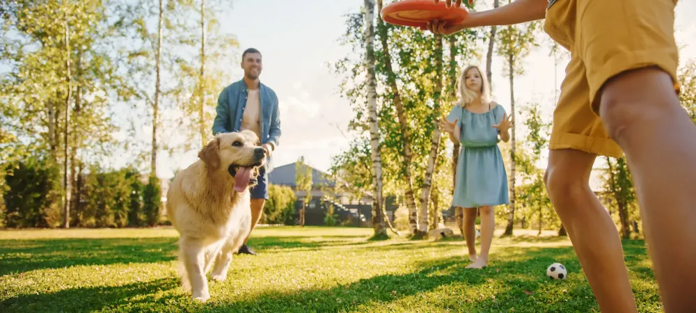 dog and family playing outside 