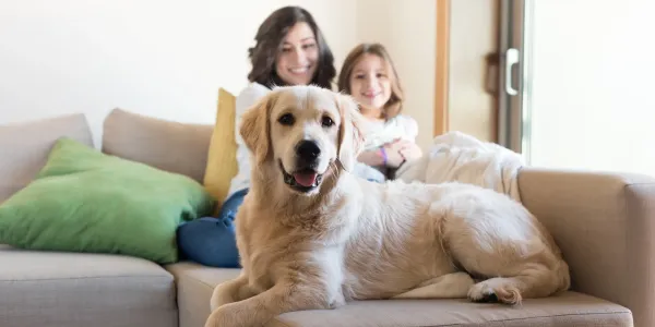 dog and family on couch