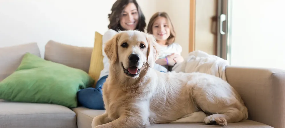 dog and family on couch